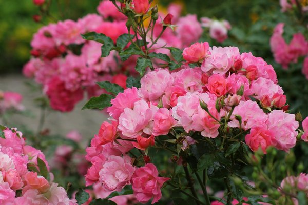 Comment choisir un tapis artistique pour votre salon